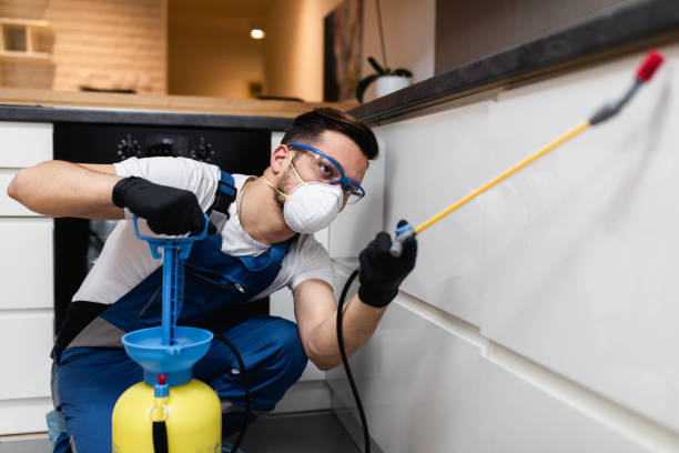 Best Cockroach Control Services  in Arapahoe, WY