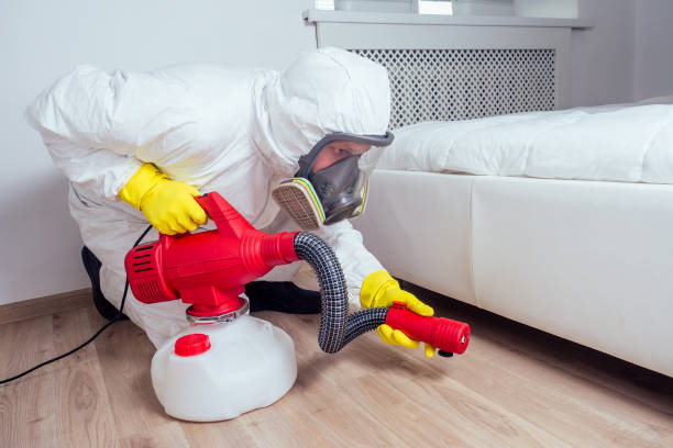 Best Local Pest Control Services  in Arapahoe, WY